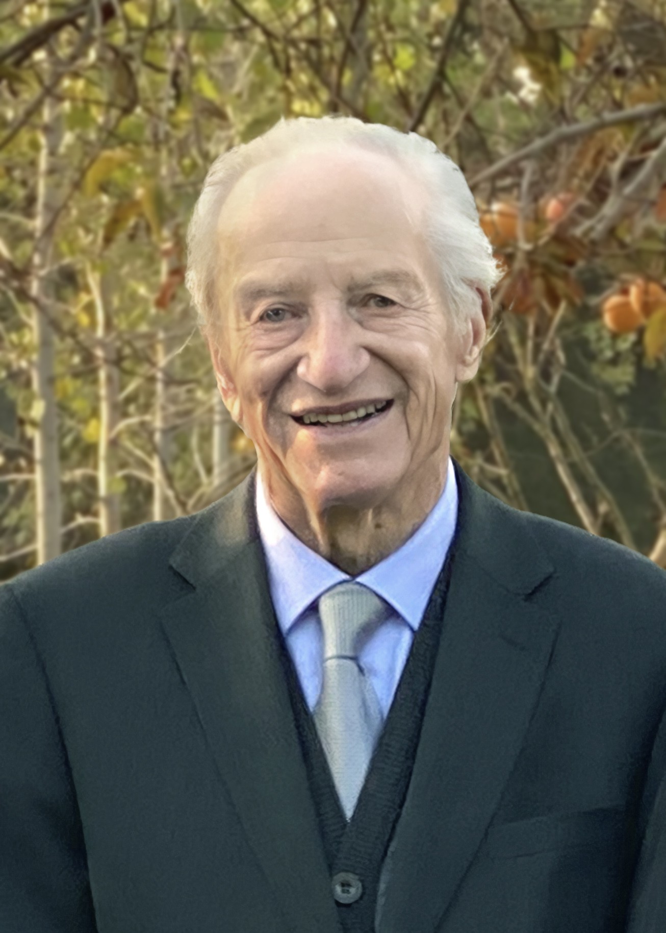 Egidio Serafin - Ponte di Piave